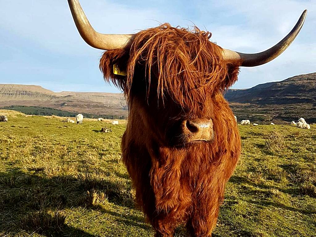 Trotternish B&B